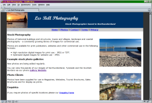 Mini website