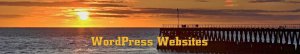 WordPress Websites