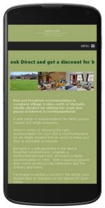 Mobile Friendly Website