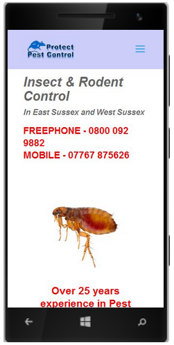 protect-pest-control-mobile-friendly