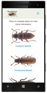 Woodworm Treatments Mobile Freindly Website